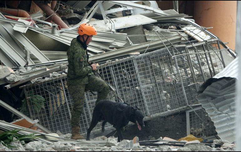El terremoto de magnitud 6.6 y otro de 6.5 del martes y el jueves 29 de octubre pasado azotó las regiones de Davao y Soccsksargen. EFE / C. Ebrano