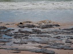 Las manchas de petróleo han llegado a 283 playas de 98 municipios de los nueve estados de la región nordeste. AFP/ADEMAS/ARCHIVO