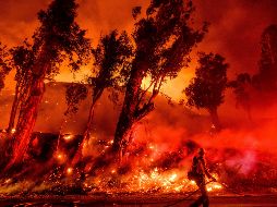 Bomberos combaten el incendio 