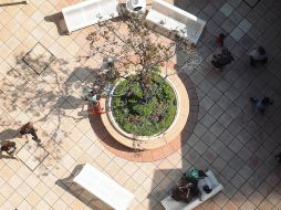 El negocio de la familia Lemus inició el 2 de agosto de 1965. EL INFORMADOR / ARCHIVO