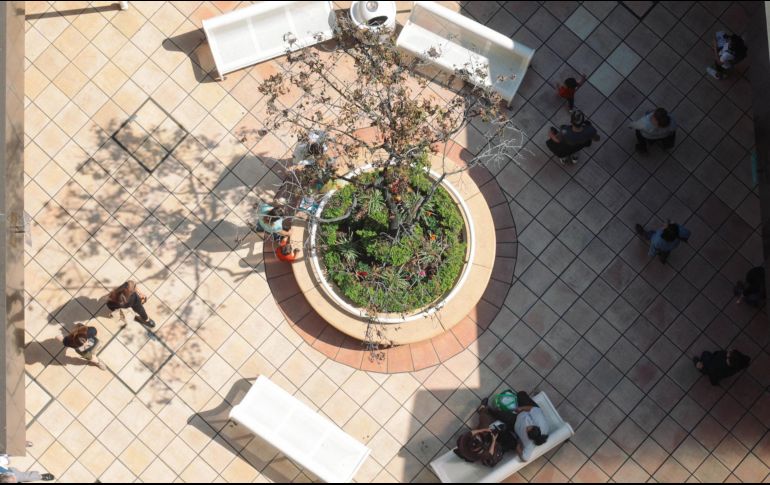 El negocio de la familia Lemus inició el 2 de agosto de 1965. EL INFORMADOR / ARCHIVO