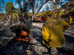 Los bomberos contuvieron 20% de un incendio que arrasó con casi 38 kilómetros cuadrados y obligó a la evacuación de 11 mil personas. AFP/A. Gomes