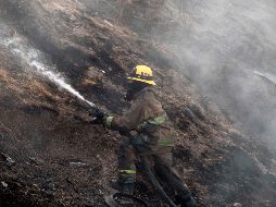Incendios registrados desde la semana pasada en Baja California han afectado unas 10 mil 780 hectáreas. AFP/ARCHIVO