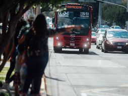 La revisión se enfocó específicamente en las primeras cuatro rutas creadas: T01, T02, T03 y T09. EL INFORMADOR/Archivo