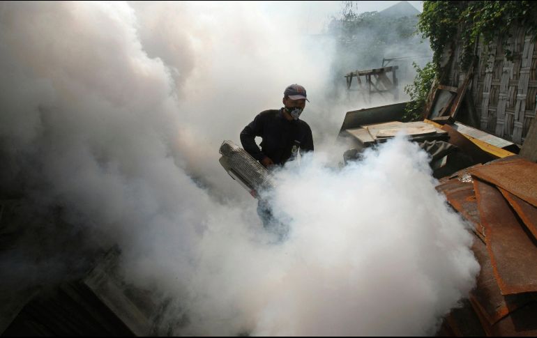La Secretaría de Salud sostiene que la incidencia de casos de dengue va a la baja, a pesar de que esta semana se sumaron otros 648 casos. AP / ARCHIVO