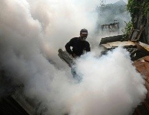 La Secretaría de Salud sostiene que la incidencia de casos de dengue va a la baja, a pesar de que esta semana se sumaron otros 648 casos. AP / ARCHIVO