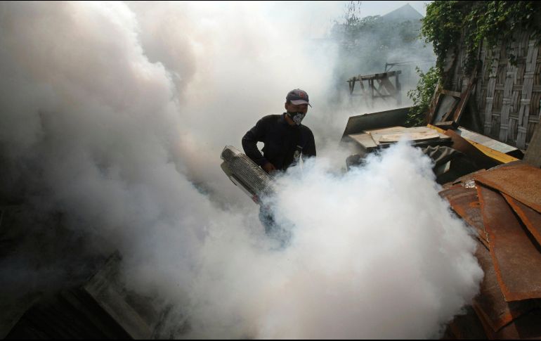 La semana pasada, la Secretaría de Salud Jalisco aseguró que la incidencia de casos de dengue ya iba a la baja. EL INFORMADOR / ARCHIVO