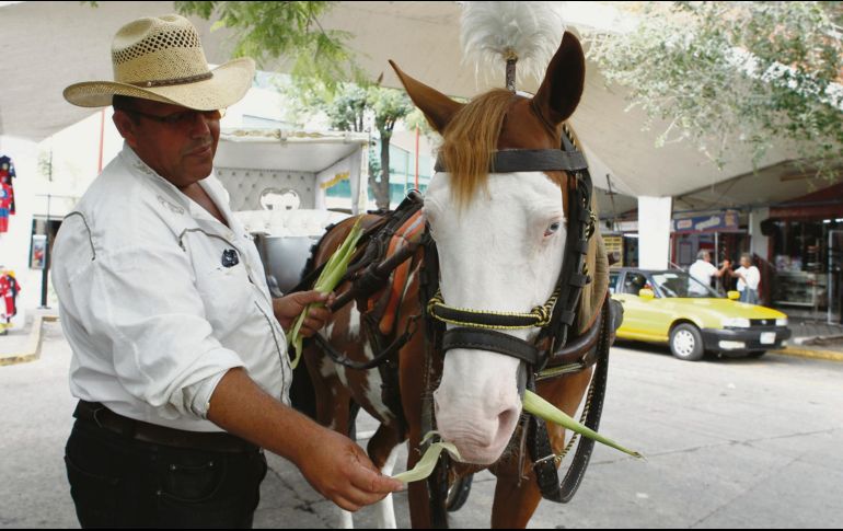 Desde hace 40 años, los turistas que hacen el recorrido por las calles de la ciudad conocen la historia  que forjó la identidad del tapatío. EL INFORMADOR/A. Camacho