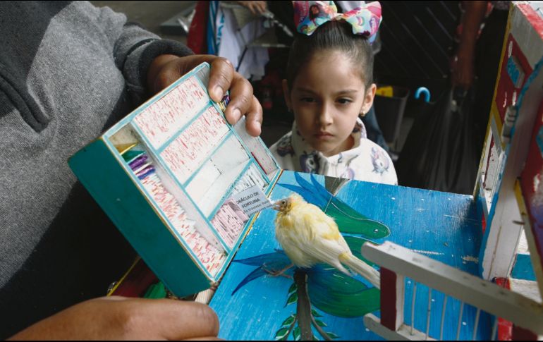 Con los “pajaritos de la suerte” el futuro siempre será mejor. La salud, prosperidad y amor acompañan a las aves para dar su mensaje.  EL INFORMADOR/A. Camacho