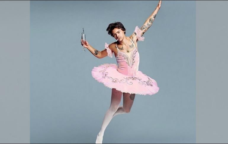 Las publicaciones de Styles causaron un debate entre sus seguidores sobre su orientación sexual. INSTAGRAM / harrystyles