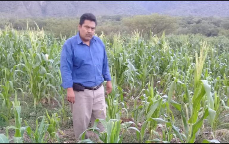 El lugar donde está ubicada la fosa clandestina es el punto conocido como Los Tres Postes. TWITTER /@CeronArnulfo