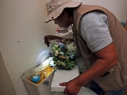 También se comunica que pese a que el número de casos confirmados por semana no ha disminuido, la tendencia de enfermos por el virus “va a la baja”. SUN/ ARCHIVO