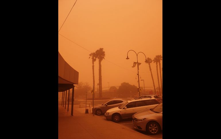 AFP/Cortesía Brandt Cordier