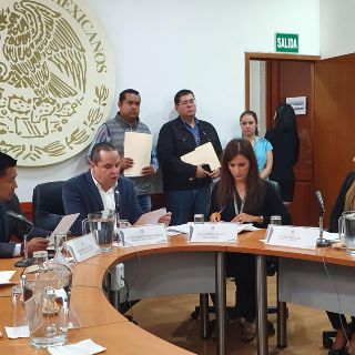 Avanza reforma para regular solicitudes de carta de no antecedentes penales