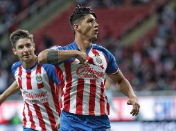 El delantero tendrá ante Veracruz la oportunidad de pasar a los libros de historia del Rebaño, ya sea como líder goleador, o como uno de los mejores anotadores en los últimos años del club. IMAGO7