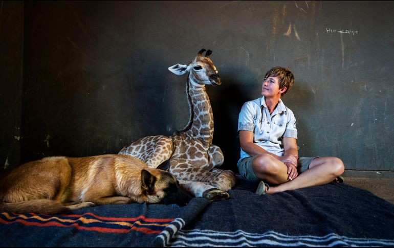 El perro Hunter, que vigila el orfanato, rápidamente comenzó a cuidar a Jazz, de nueve días de nacido. AP/D. Farell