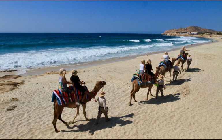 Paseo en camello. ESPECIAL / NTX