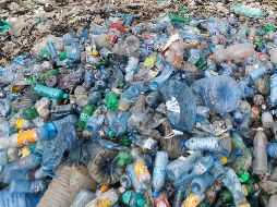 El reciclaje de los envases genera un importante impacto ambiental, ya que retira del entorno alrededor de 80 mil toneladas de botellas. EFE / ARCHIVO
