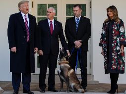 Trump fue quien dio a conocer en primer momento el papel fundamental de la perra en la operación en el noroeste de Siria. AP/E. Vucci