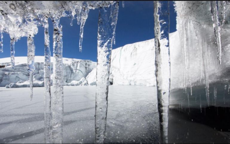 Los incendios en la Amazonia 