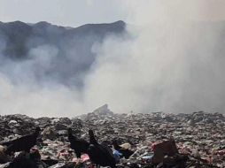 Estadística. Desde 2010 suman 243 averiguaciones previas o carpetas de investigación por delitos ambientales. Los incendios en La Primavera destacan en las denuncias. EL INFORMADOR / Archivo