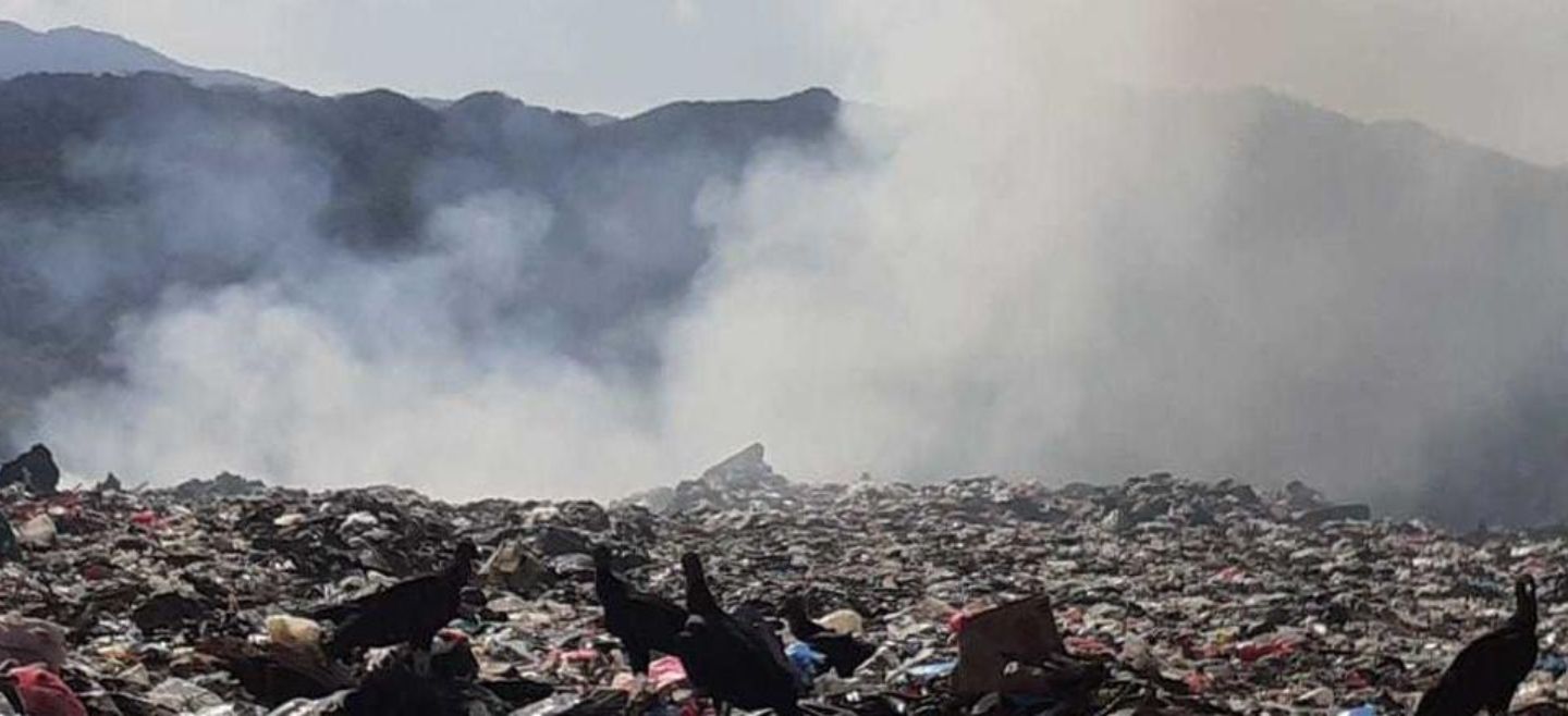 Estadística. Desde 2010 suman 243 averiguaciones previas o carpetas de investigación por delitos ambientales. Los incendios en La Primavera destacan en las denuncias. EL INFORMADOR / Archivo