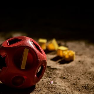 Rescatan a 21 niños de albergue