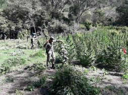 La Sedena precisó que tanto los detenidos como lo asegurado fue entregado a las autoridades correspondientes para iniciar con las investigaciones. ESPECIAL