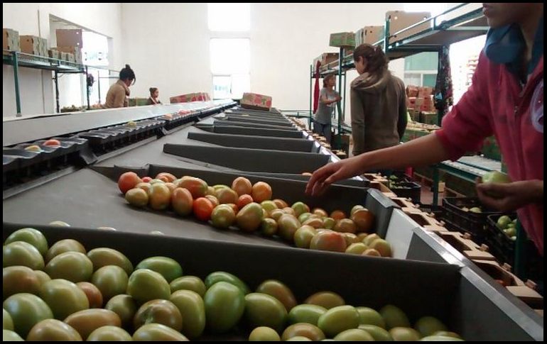 De acuerdo con fuentes que pidieron el anonimato, esto significa que EU podrá seguir bloqueando la conformación de paneles de controversia en cualquier momento, menos para el tema laboral. NTX / ARCHIVO