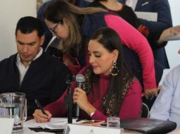 La diputada priista Mariana Fernández Ramírez, presidenta de la Junta, planteó sostener al menos dos reuniones para escuchar posturas a favor y en contra de la medida.