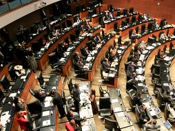 Aseguran que con las modificaciones no se trata de prohibir, de cancelar o de congelar este dictamen, sino de mejorarlo en parlamento abierto. NTX/J. Lira