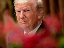 Consideran que el actuar del presidente durante las investigaciones sólo podría acarrearle más cargos en su contra. AP/A. Harnik