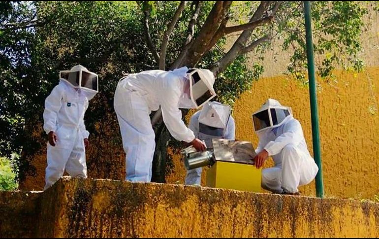 Equipo. La nueva unidad ya suma 17 intervenciones. EL INFORMADOR / R. RIVAS