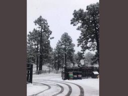 Hacen un llamado a la ciudadanía a que extreme precauciones si tiene que transitar por la zona. TWITTER/@ClimaChihuahua1