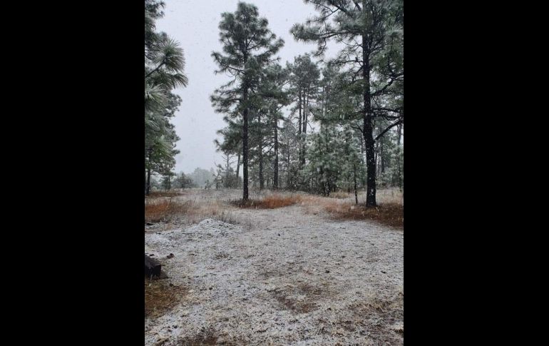 TWITTER/@ClimaChihuahua1