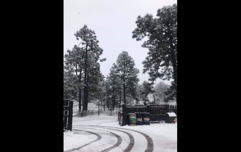 TWITTER/@ClimaChihuahua1