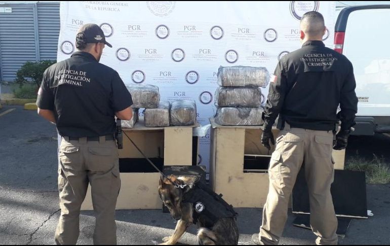 Los paquetes fueron asegurados para entregarlos al Ministerio Público Federal, que inició con las investigaciones. ESPECIAL