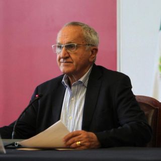 Postulación de Seade a OMC busca no imposición de aranceles: López Obrador