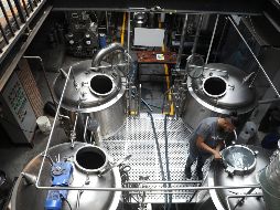 La industria de cervezas artesanales registró una inversión de cinco mil 338 millones de pesos en 2018. EFE/S. Gutiérrez