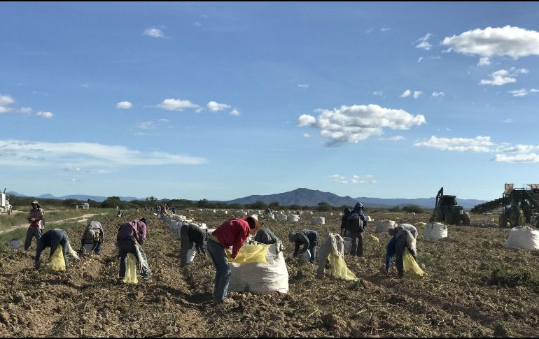 En 2018, las entidades con mayor aportación al PIB nacional a precios constantes fueron Ciudad de México (17.6%), Estado de México (8.9%), Nuevo León (7.5%), Jalisco (6.9%) y Veracruz (4.6%).  EFE/ ARCHIVO