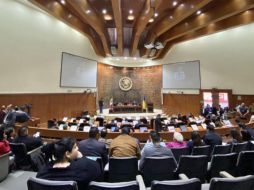 Los integrantes no recibirán sueldo, este órgano tendrá hasta doce meses para aprobar el dictamen de la nueva Constitución.  CORTESÍA