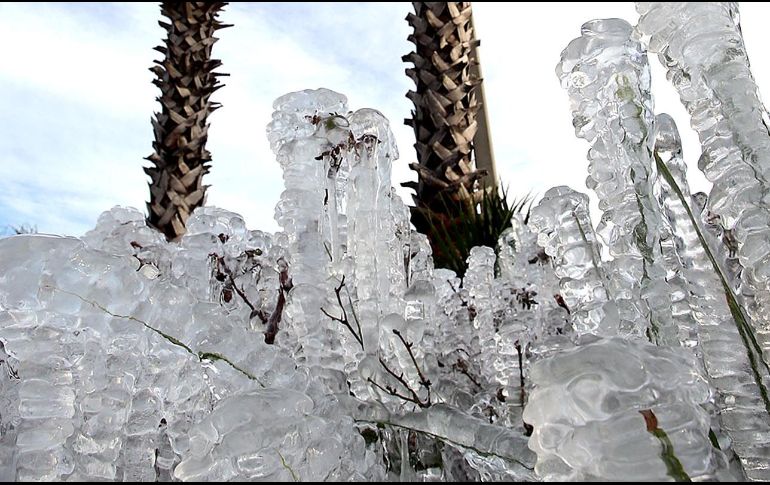 En una Navidad en que se registraron temperaturas bajo cero, Esmond la pasó sin electricidad ni calefacción al no poder pagar sus facturas. AP/ARCHIVO