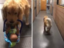 Ben Franklin fue captado infraganti, perpetrando su crimen. Policía de Franklin