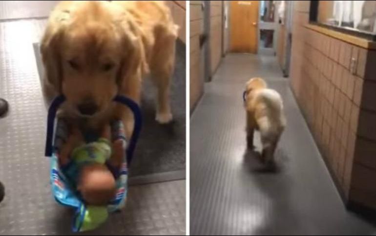 Ben Franklin fue captado infraganti, perpetrando su crimen. Policía de Franklin