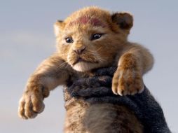 El live action de “El Rey León” compite como Mejor Película contra “Green Book” y “Once Upon a Time in Hollywood”. ESPECIAL / Walt Disney Studios