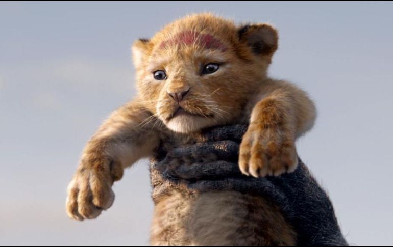 El live action de “El Rey León” compite como Mejor Película contra “Green Book” y “Once Upon a Time in Hollywood”. ESPECIAL / Walt Disney Studios