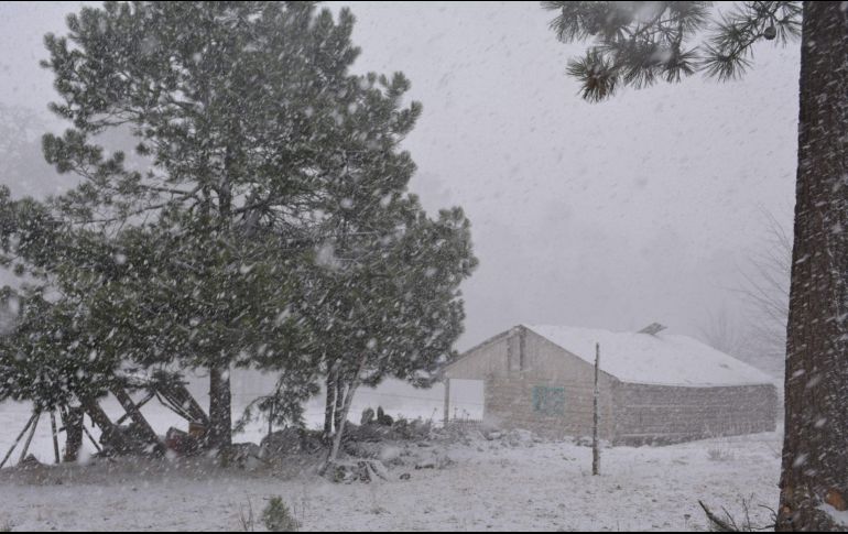 El ingreso de un nuevo frente frío originará potencial de lluvias, rachas fuertes de viento y caída de nieve o aguanieve en Sonora. NTX/ARCHIVO