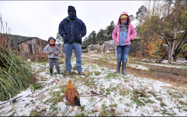 En las próximas horas se esperan temperaturas mínimas de -10 a -5°C y heladas en sierras de Baja California, Sonora, Chihuahua y Durango. EFE/ARCHIVO