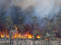 Los voraces incendios acorralan a miles de personas en playas en Australia