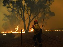 Miles de personas en Australia tuvieron que ser evacuadas debido a los incendios. EFE